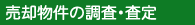 ���p�����̒����E����