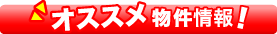 ���[���}�[�P�b�g�̃I�X�X���������I