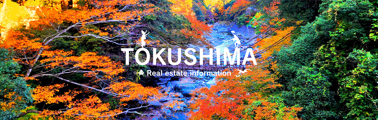 TOKUSHIMA Real estate information
