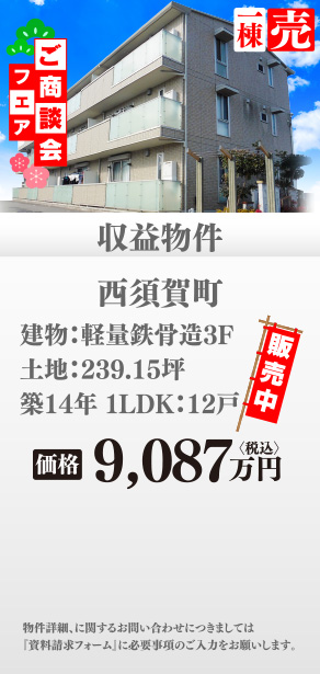 収益物件 西須賀町