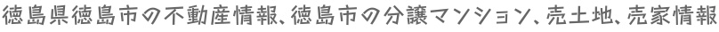 徳島県徳島市の不動産情報、徳島市の分譲マンション、売土地、売家情報